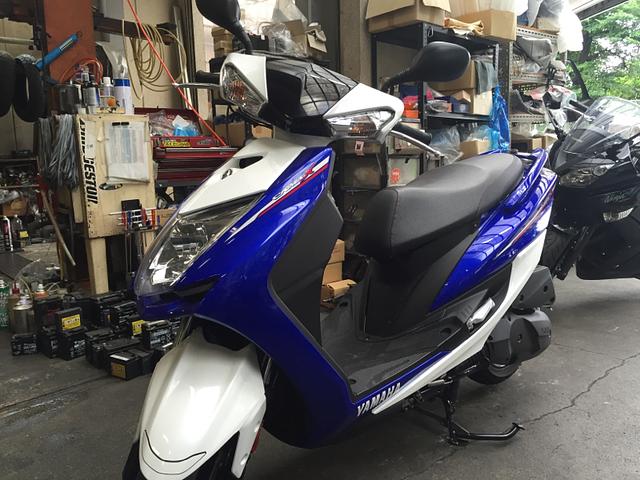 シグナスX初回点検