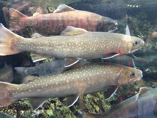 京都水族館なう(2016/02/07 11:21:35)