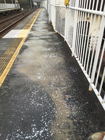 雪の降る前の対応かな？