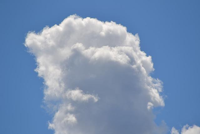 やっぱり一眼レフかな？