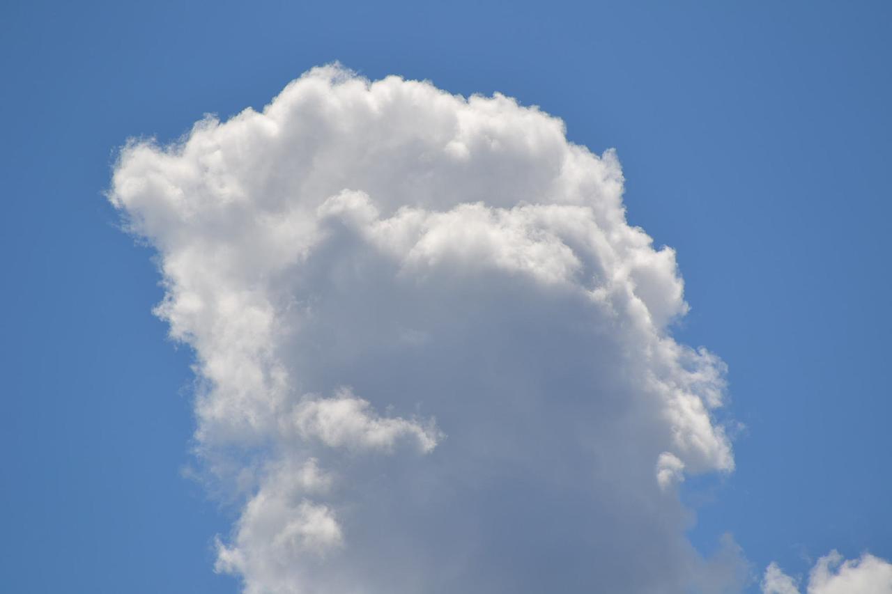 やっぱり一眼レフかな？