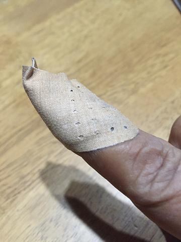 とんすけに指噛まれた