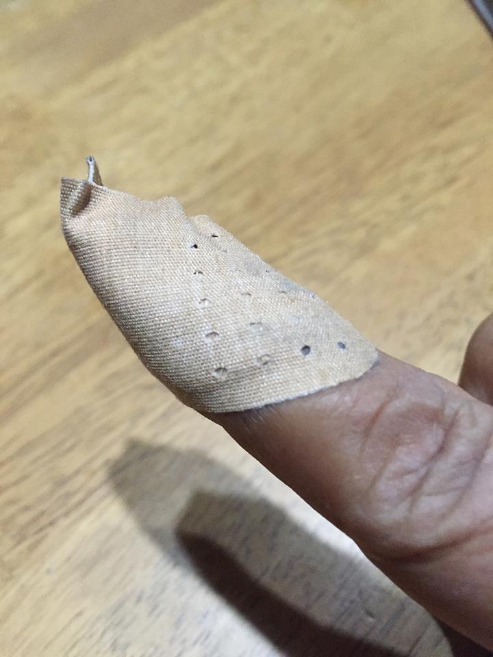 とんすけに指噛まれた