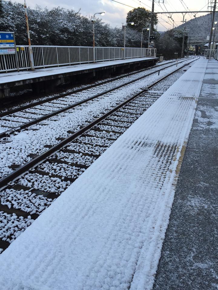 寒いと思ったら…