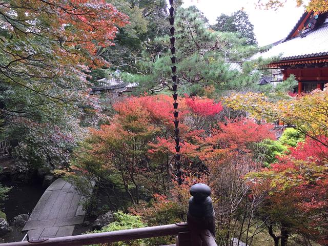 毘沙門堂は、色づきはじめ