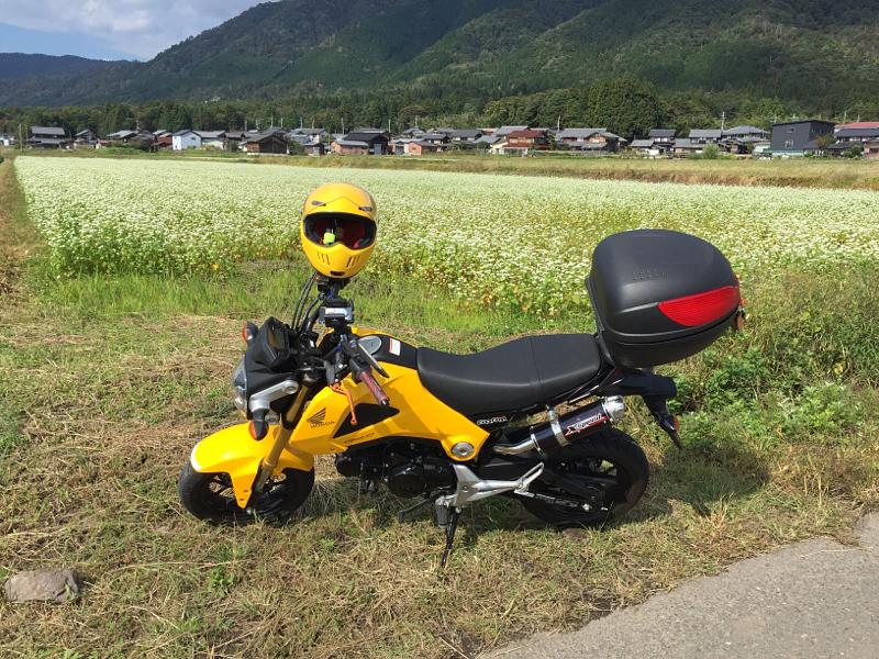 蕎麦の花とGROM
