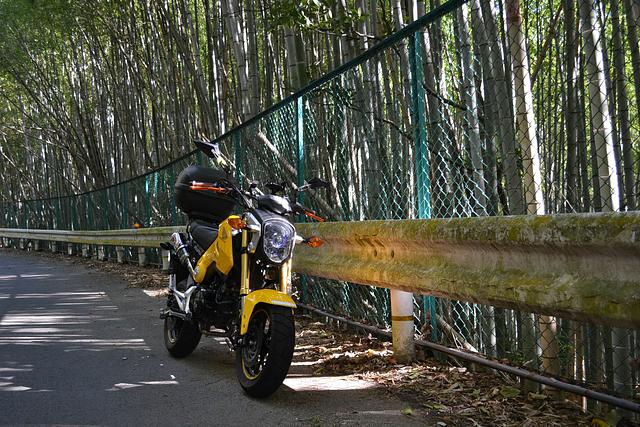 峠は寒くなった！！