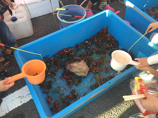 蟹釣りで貰った蟹は…