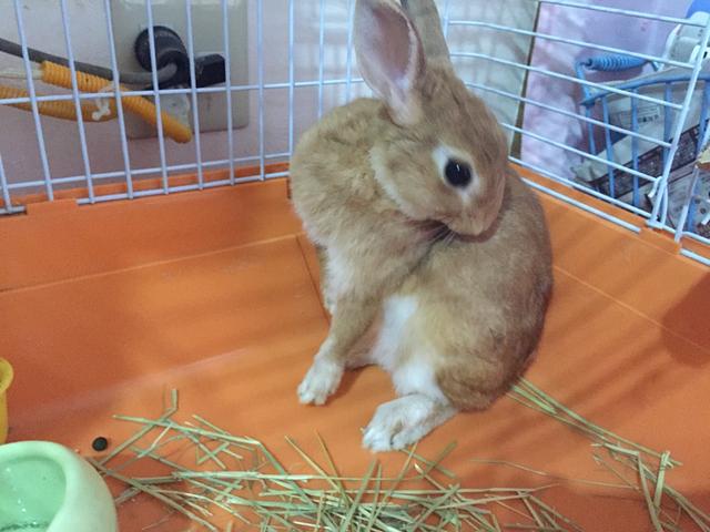 クリックして～