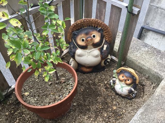 野良猫の、うんち対策！