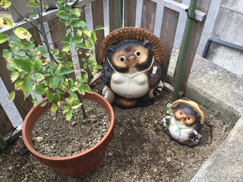 野良猫の、うんち対策！