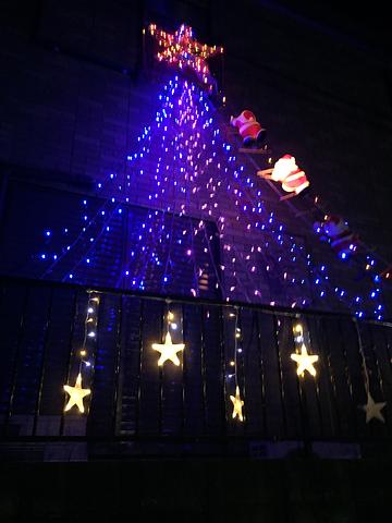 イルミネーションが始まった