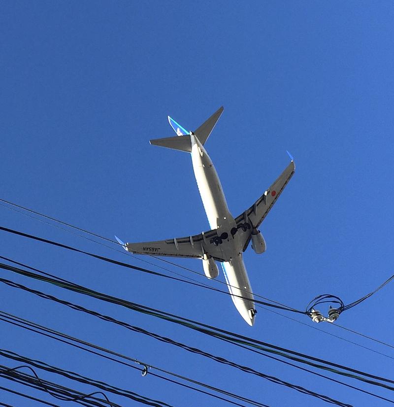 豊中では、真上に飛行機