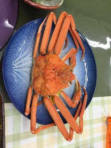 福井泊、やっぱり越前蟹やな