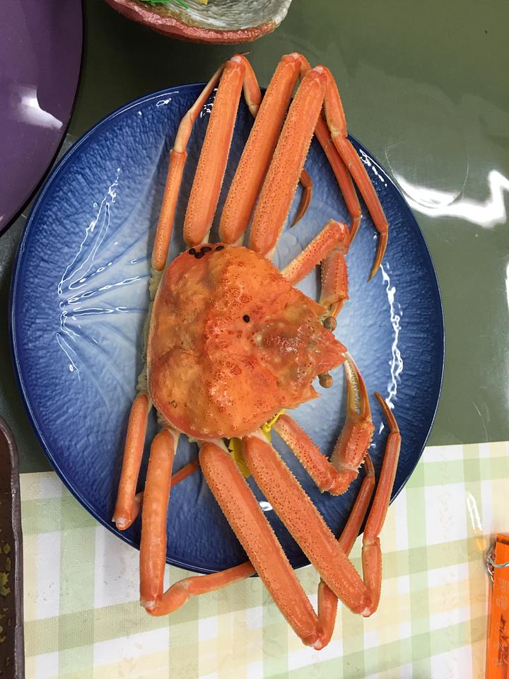 福井泊、やっぱり越前蟹やな