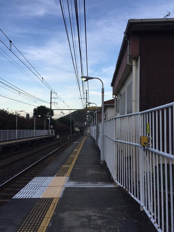 夜が開けてるのに勿体無い