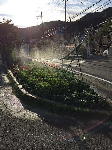 暑い時は、散水