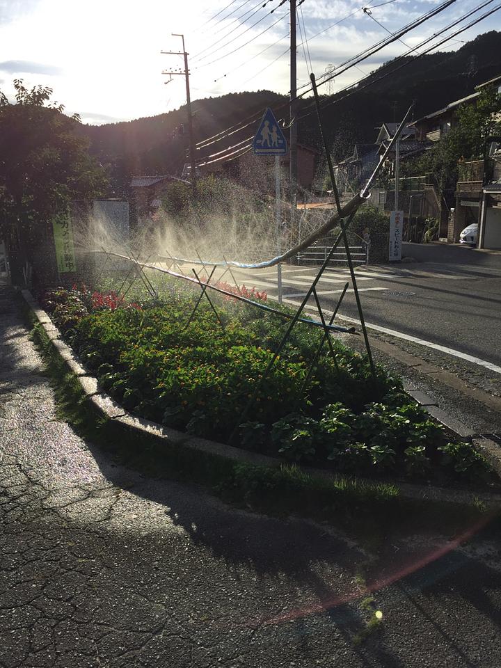 暑い時は、散水