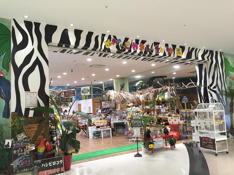 ピエリの中の動物園