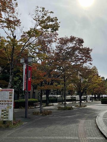 選挙制度　2017/11/01