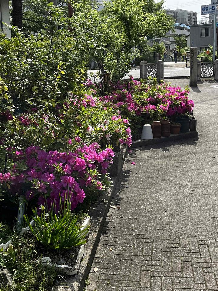 監視社会への危険な道　2017/05/01