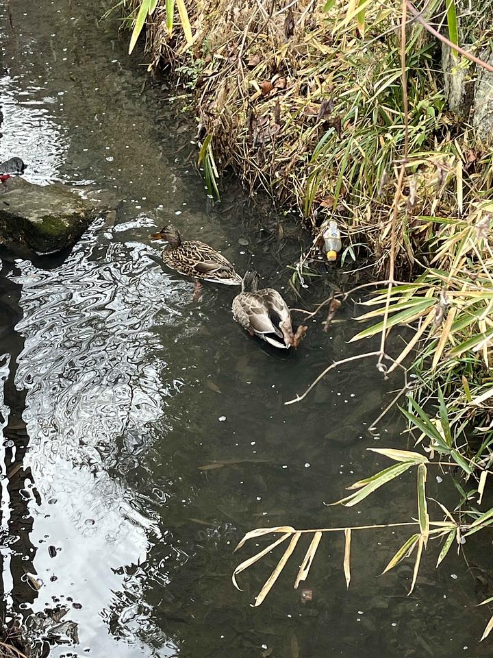 行政の透明性　2018/04/01