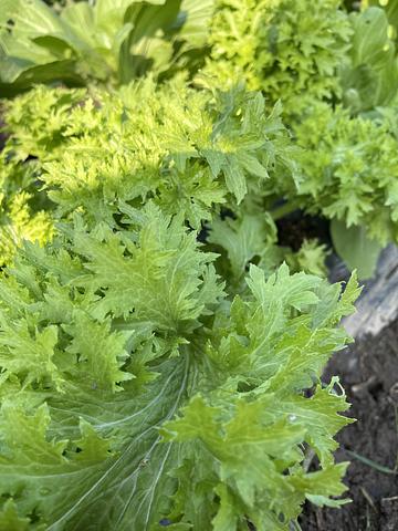 人権の尊重　2016/11/01