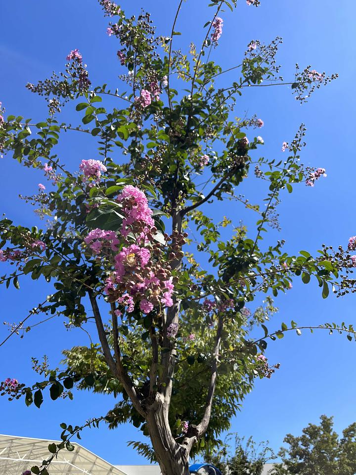 豊洲市場問題から見えるこの国の政治　2016/09/01