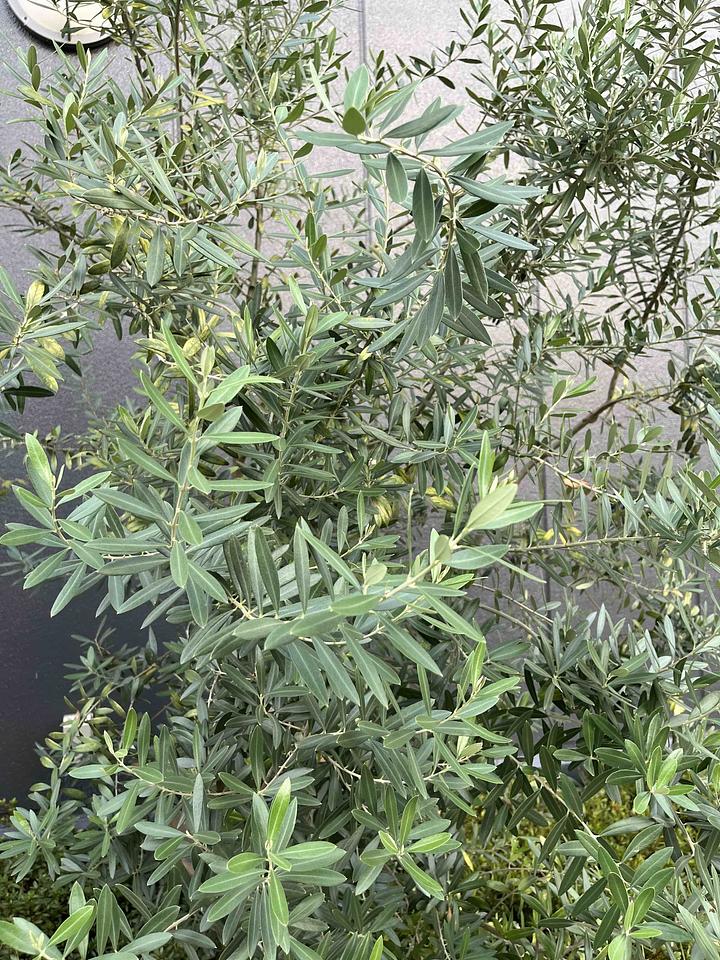 これからの地域自治のあり方を考える　2016/09/01