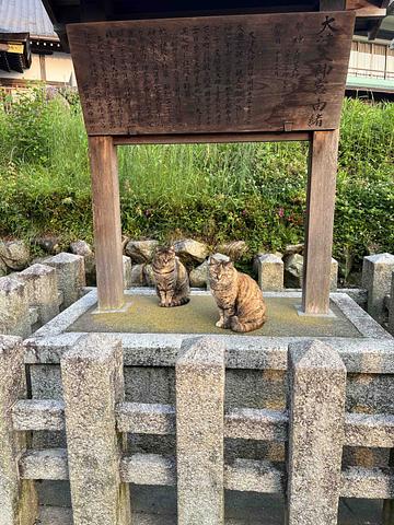 子ども達に誇れる大人に　2016/06/01