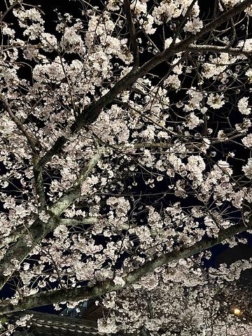 女性が活躍できる社会にするには　2016/04/01