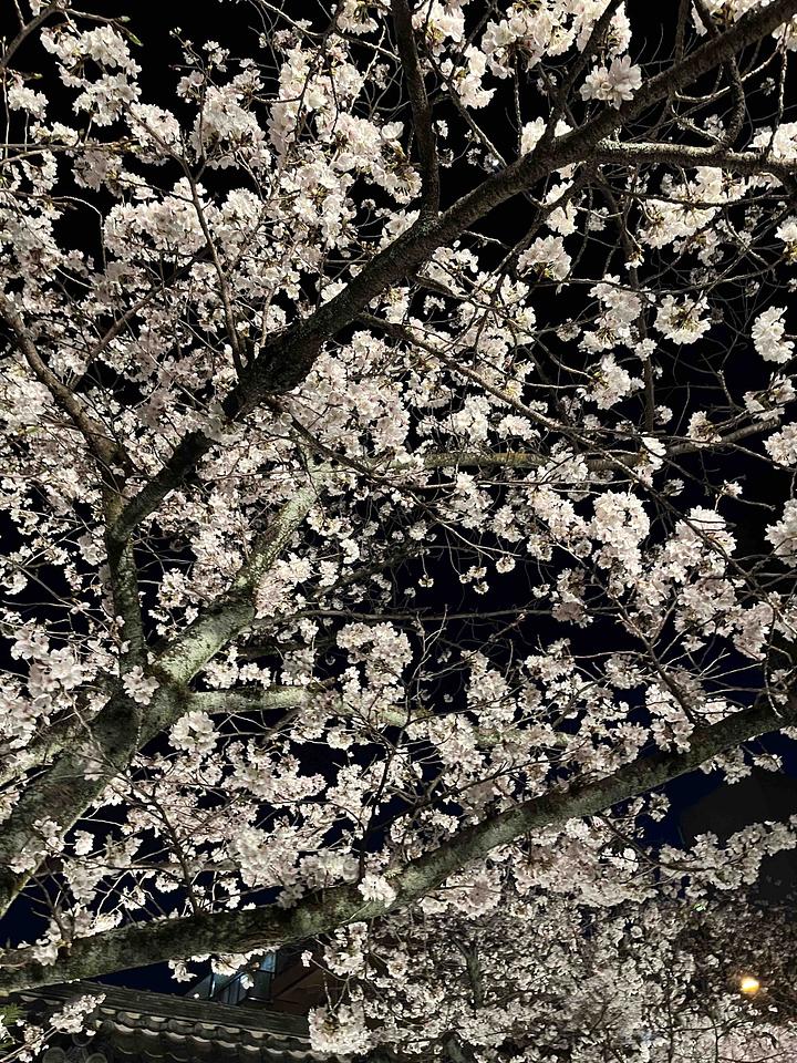 女性が活躍できる社会にするには　2016/04/01