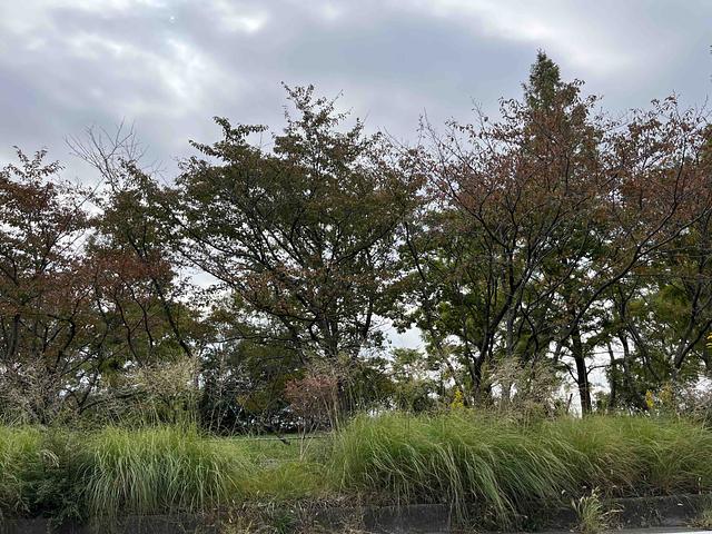 負の連鎖を断ち切る　2015/11/01