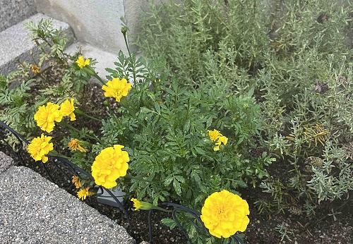 現場感覚　2015/08/01