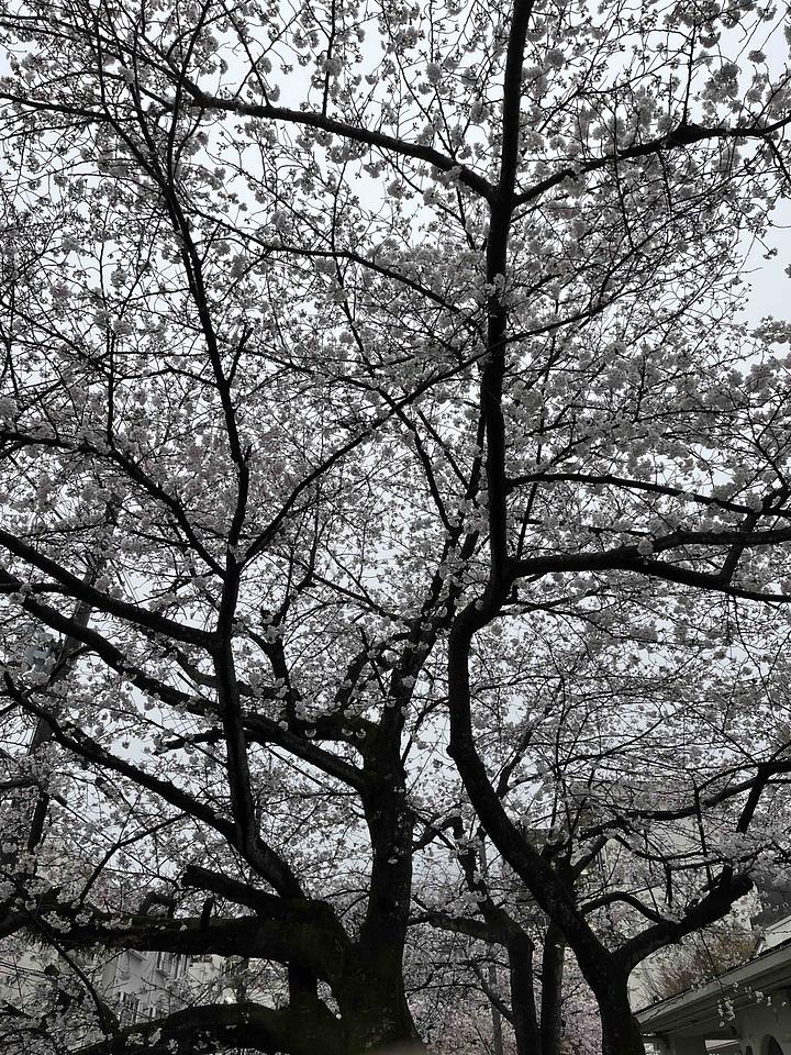 ピケティから何を学ぶか　2015/04/01