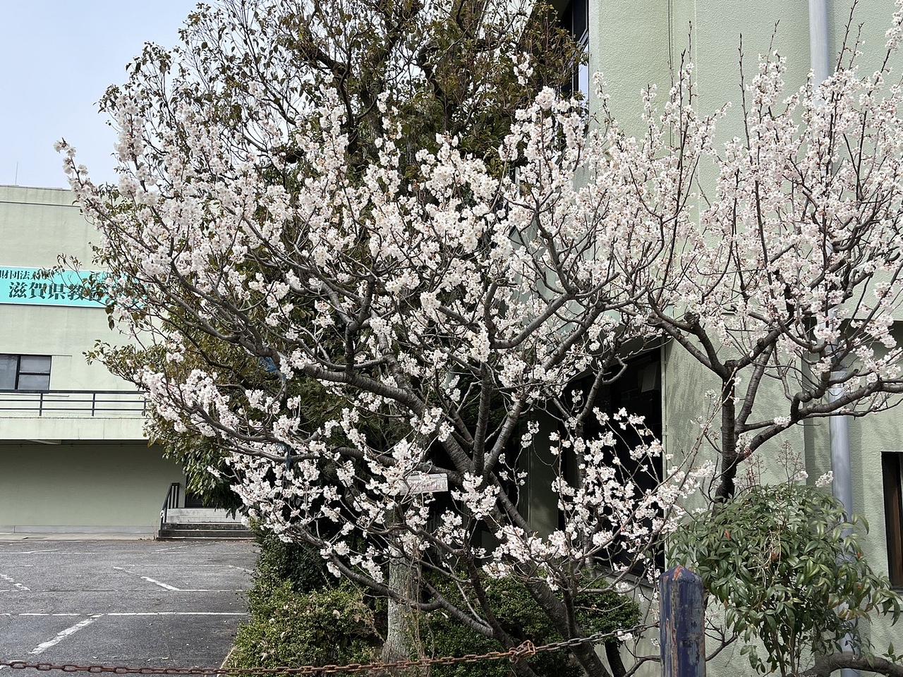 合意形成を目指すための議論　2017/01/01