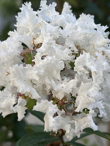 地方議員の政務活動費　2014/09/01