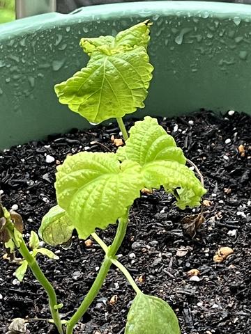 今の政治と経済を転換するには　2014/07/01