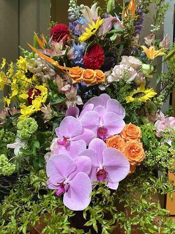 ＮＰＯ若手人材育成と組織の継続性　2014/06/01