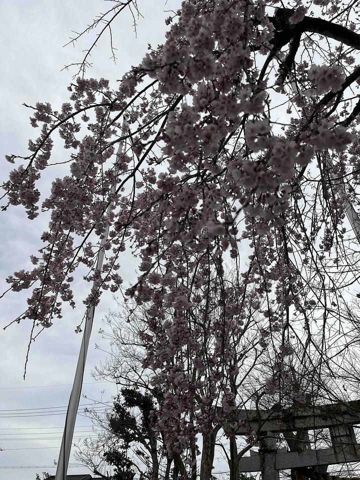 地方議会のあり方　2014/04/01