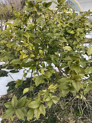 情報を読み解く力　2014/03/01