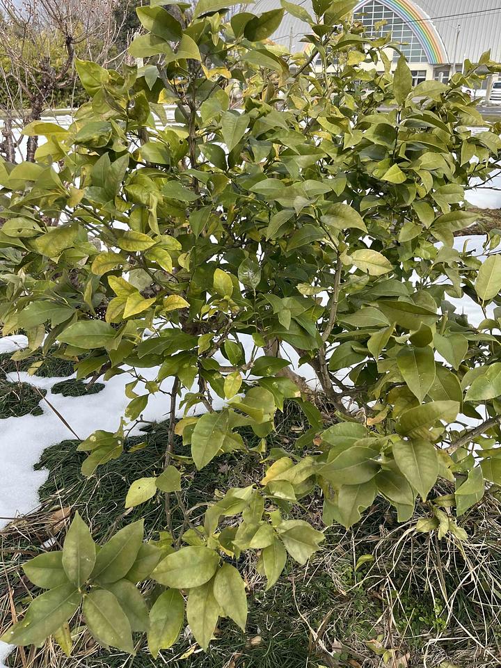 情報を読み解く力　2014/03/01