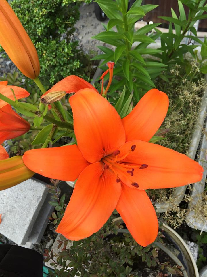 暫し立ち止まって