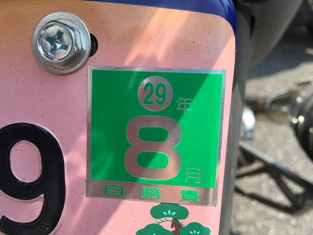 自賠責保険更新