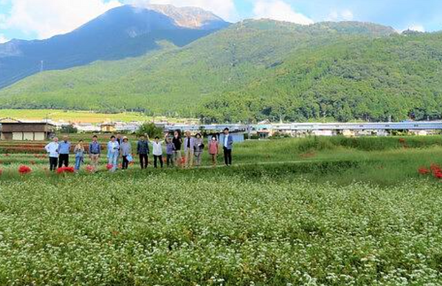2022年9月30日 蕎麦食べ歩き・伊吹山麓そばの花観賞・伊吹そばを味わう