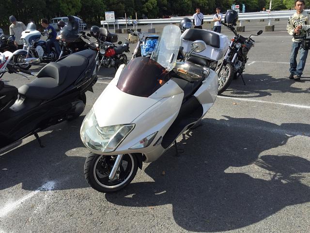 欲しかったGENDER