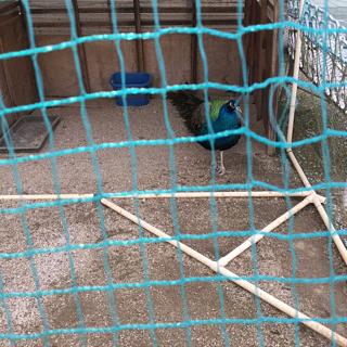 入院は、バソコン