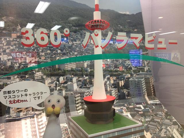 360°パノラマビュー
