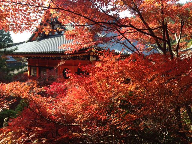 毘沙門堂の紅葉