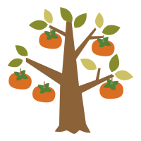 11月のレッスン日